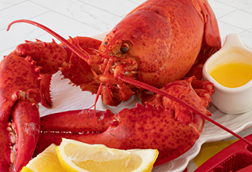 Lobster